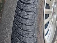 Usata Fiat Punto Evo 75 CV (55 kW) 2010 Nero Utilitaria