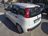 Usata Fiat Panda S 69 CV (50 kW) 2021 Bianco Utilitaria