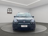 Usata Fiat Panda Cross Cross 70 CV (51 kW) 2025 Verde foresta Utilitaria