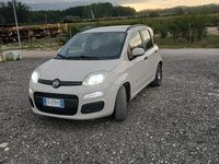 Usata Fiat Panda 95 CV (69 kW) 2017 Marrone Utilitaria