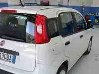 Usata Fiat Panda Lounge 69 CV (50 kW) 2017 Utilitaria