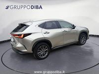 Usata Lexus NX350h 190 CV (139 kW) 2023 Grigio SUV