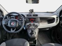 usata Fiat Panda 1.0 FireFly 70cv S&S Hybrid City Life 5 PORTE