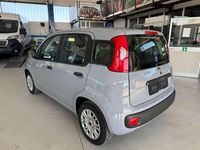 Usata Fiat Panda Easy 69 CV (50 kW) 2018 Grigio Utilitaria
