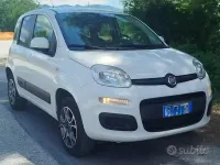 Usata Fiat Panda 4x4 Pop 75 CV (55 kW) 2014 Bianco Utilitaria