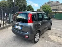 Usata Fiat Panda 69 CV (50 kW) 2021 Grigio Utilitaria