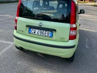 Usata Fiat Panda 69 CV (50 kW) 2005 Verde Utilitaria
