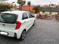 Usata Kia Picanto 68 CV (50 kW) 2016 Bianco Utilitaria