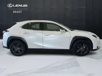Usata Lexus UX 250h Luxury Line 184 CV (135 kW) 2023 Bianco SUV