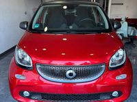 Usata Smart ForFour Passion 90 CV (66 kW) 2018 Rosso Utilitaria