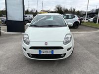 usata Fiat Punto 1.3 MJT II 75 CV 5 porte Street