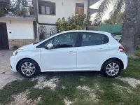 Usata Peugeot 208 Active 102 CV (75 kW) 2019 Bianco Utilitaria