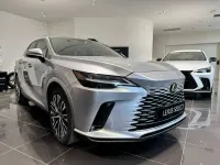 Usata Lexus RX450h Executive Line 185 CV (136 kW) 2023 Soni platino SUV