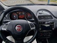 Usata Fiat Punto Evo Active 69 CV (50 kW) 2013 Utilitaria