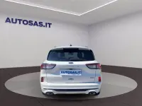 Usata Ford Kuga ST-Line 190 CV (139 kW) 2023 Bianco SUV