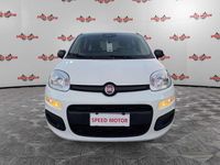 Usata Fiat Panda 69 CV (50 kW) 2024 Bianco Utilitaria
