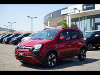Usata Fiat Panda Cross Cross 69 CV (50 kW) 2024 Rosso Utilitaria