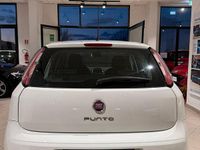 Usata Fiat Punto Lounge 75 CV (55 kW) 2013 Bianco Utilitaria