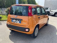 usata Fiat Panda 1.0 FireFly S&S Hybrid NEOPATENTATI