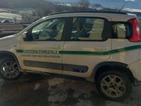 Gebraucht Fiat Panda 4x4 75 PS (55 kW) 2014 Weiß Kleinwagen