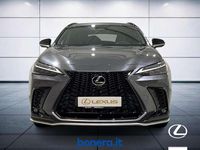 Usata Lexus NX200t Sport Line 309 CV (227 kW) 2023 Sonic grey SUV