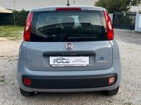 Usata Fiat Panda Easy 70 CV (51 kW) 2020 Grigio Utilitaria