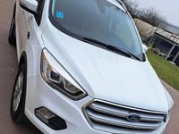 Usata Ford Kuga 150 CV (110 kW) 2019 Bianco SUV
