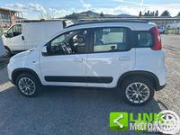 Usata Fiat Panda 4x4 74 CV (54 kW) 2013 Bianco Utilitaria