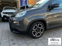 usata Fiat Panda Cross 1.0 FireFly S&S Hybrid City usato