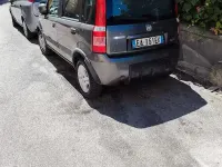 Usata Fiat Panda 60 CV (44 kW) 2010 Grigio Utilitaria