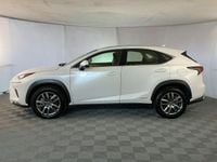 Usata Lexus NX300h Business Edition 155 CV (114 kW) 2019 Bianco SUV