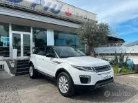 Usata Land Rover Range Rover evoque SE 150 CV (110 kW) 2016 Bianco SUV