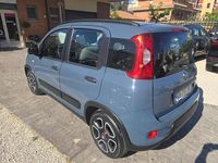 Usata Fiat Panda S 69 CV (50 kW) 2021 Azzurro Utilitaria