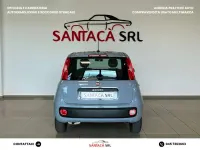 Usata Fiat Panda Lounge 69 CV (50 kW) 2020 Grigio Utilitaria