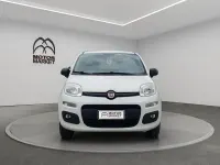 Usata Fiat Panda 4x4 Pop 85 CV (62 kW) 2020 Bianco Utilitaria