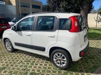 usata Fiat Panda 1.2 Lounge usato