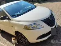 Begagnad Lancia Ypsilon 69 HK (50 kW) 2014 Vit Halvkombi