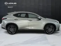 Usata Lexus NX450h+ Luxury Line 190 CV (139 kW) 2022 Argento SUV