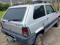 Usata Fiat Panda 4x4 54 CV (39 kW) 2003 Grigio Utilitaria