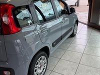 Usata Fiat Panda Easy 69 CV (50 kW) 2019 Grigio Berlina