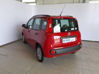 usata Fiat Panda 1.2 Easy