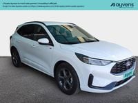 Usata Ford Kuga ST-Line 179 CV (131 kW) 2024 Bianco SUV