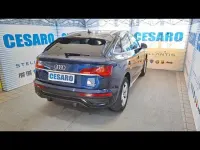 Usata Audi Q5 Sportback Advanced 265 CV (194 kW) 2022 Blu SUV