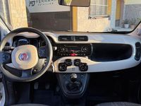 Usata Fiat Panda 4x4 S 95 CV (69 kW) 2014 Bianco Utilitaria