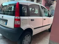 Usata Fiat Panda 4x4 60 CV (44 kW) 2008 Bianco Utilitaria
