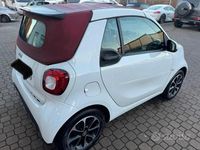 Usata Smart ForTwo Cabrio Passion 90 CV (66 kW) 2017 Bianco Cabrio