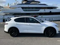 Usata Alfa Romeo Stelvio Executive 209 CV (153 kW) 2019 SUV