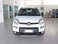 Usata Fiat Panda 4x4 Wild 86 CV (63 kW) 2022 Bianco Utilitaria