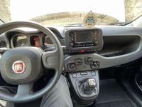 Usata Fiat Panda S 69 CV (50 kW) 2023 Bianco Utilitaria