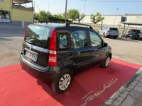 Usata Fiat Panda Dynamic 60 CV (44 kW) 2004 Antracite Utilitaria